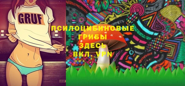 бошки Армянск