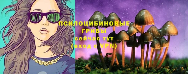 амф Аркадак