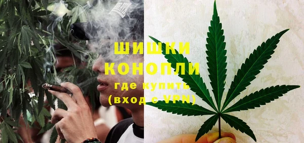амф Аркадак