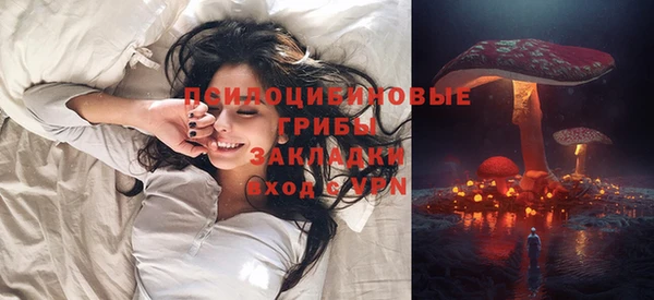 амф Аркадак
