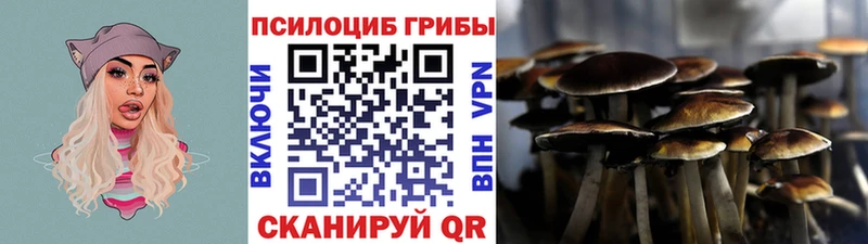 Галлюциногенные грибы Magic Shrooms  Арск 